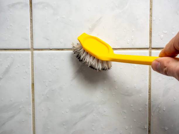 Best Mold Damage Repair  in Mcgaheysville, VA