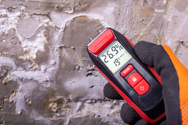 Best Professional Mold Removal  in Mcgaheysville, VA