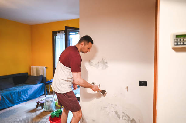 Best Mold Removal Near Me  in Mcgaheysville, VA